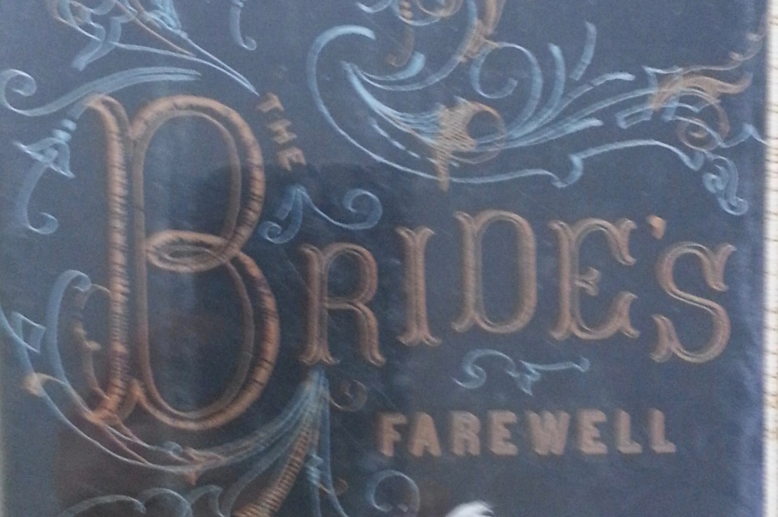 Meg Rosoff’s&nbsp;— Bride’s Farewell&nbsp;*****