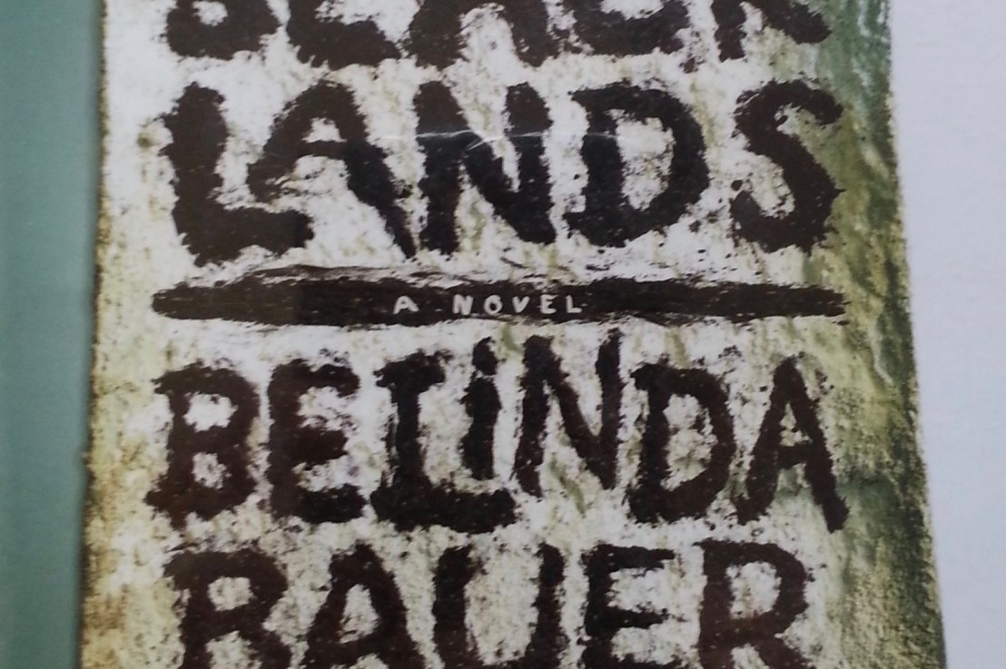 Belinda Bauer’s&nbsp;— Black Lands&nbsp;*****